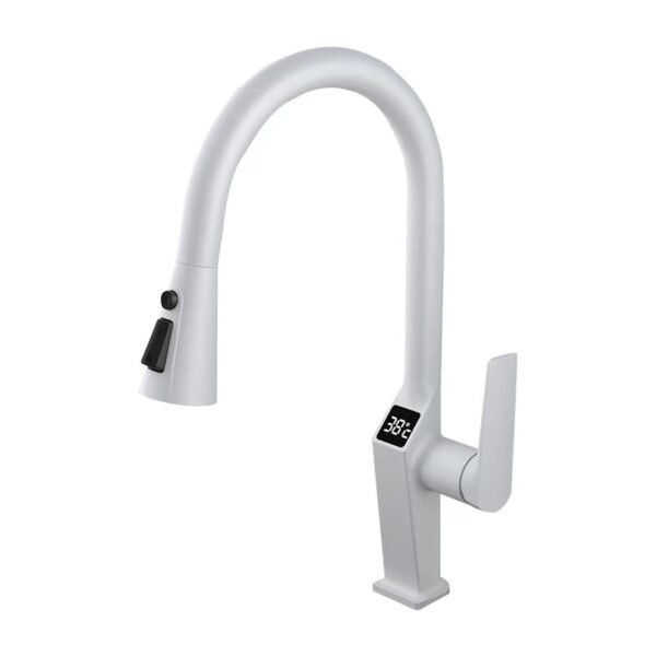 Chinese 360° Kitchen Sink Stainless Steel Faucets