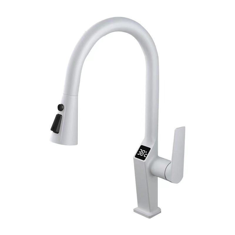 Kitchen faucet product